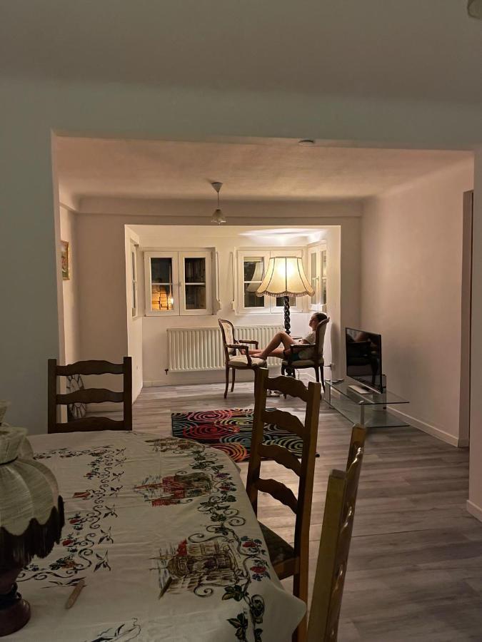 Au Bon Vieux Port Maison De Vacances Alsacienne A 10Mn De Ribeauville, Riquewihr Et Kaysersberg Sélestat Dış mekan fotoğraf