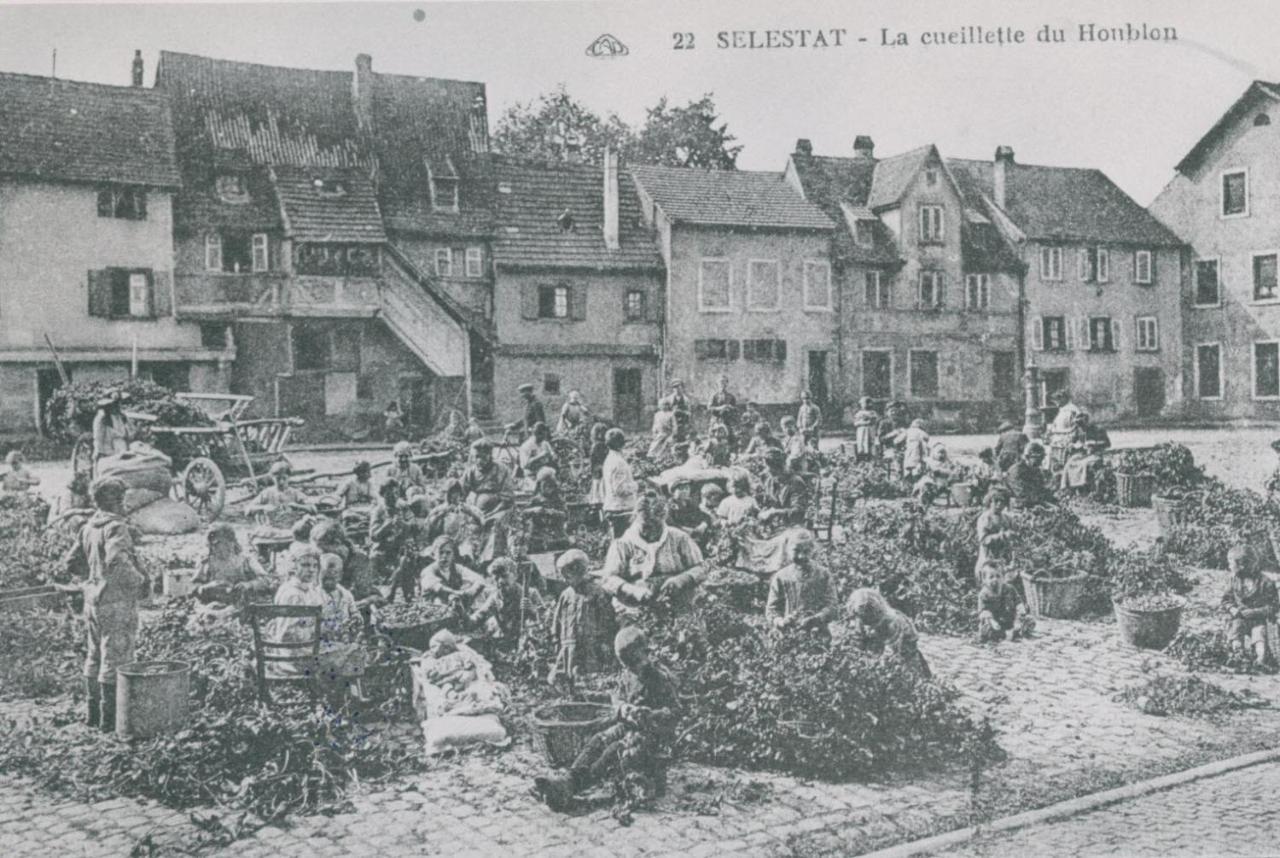 Au Bon Vieux Port Maison De Vacances Alsacienne A 10Mn De Ribeauville, Riquewihr Et Kaysersberg Sélestat Dış mekan fotoğraf
