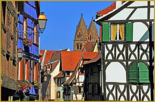 Au Bon Vieux Port Maison De Vacances Alsacienne A 10Mn De Ribeauville, Riquewihr Et Kaysersberg Sélestat Dış mekan fotoğraf